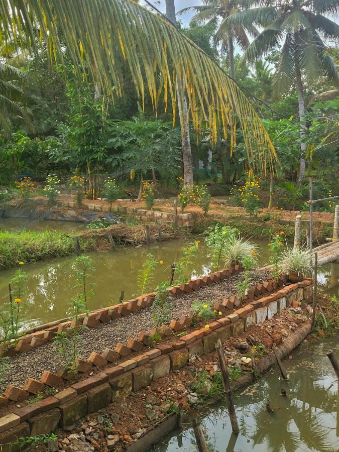 Thomman'S Farm Stay Kottayam Ngoại thất bức ảnh