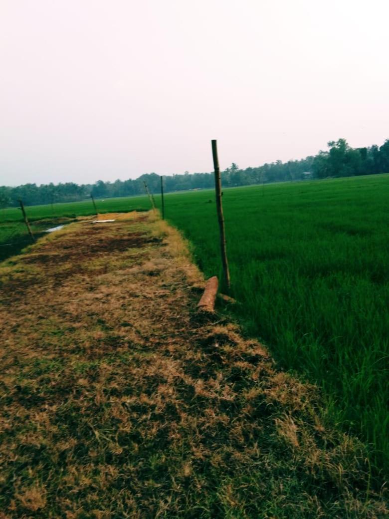 Thomman'S Farm Stay Kottayam Ngoại thất bức ảnh