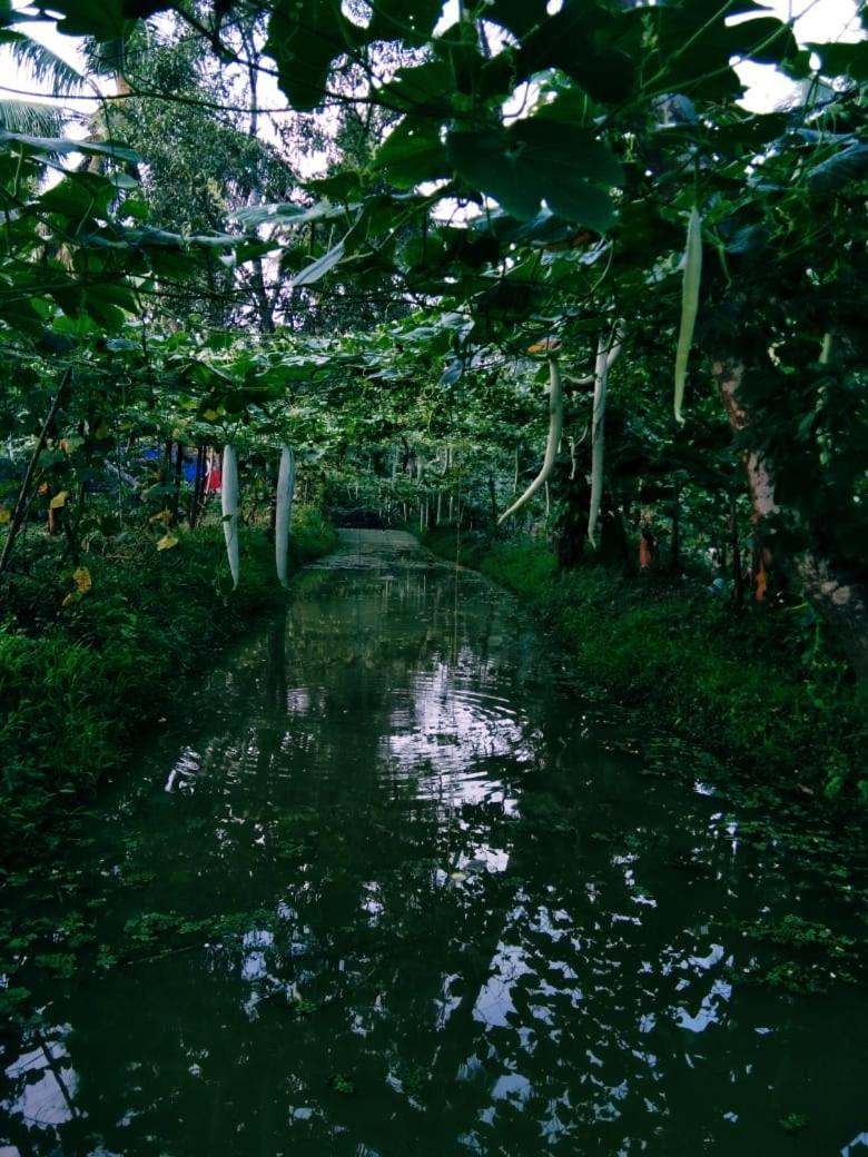 Thomman'S Farm Stay Kottayam Ngoại thất bức ảnh