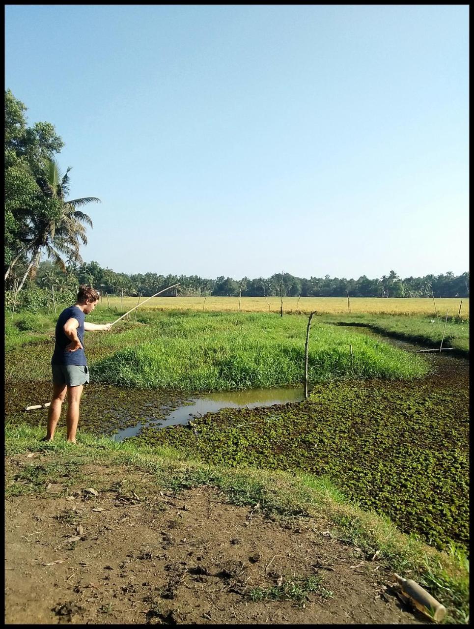 Thomman'S Farm Stay Kottayam Ngoại thất bức ảnh