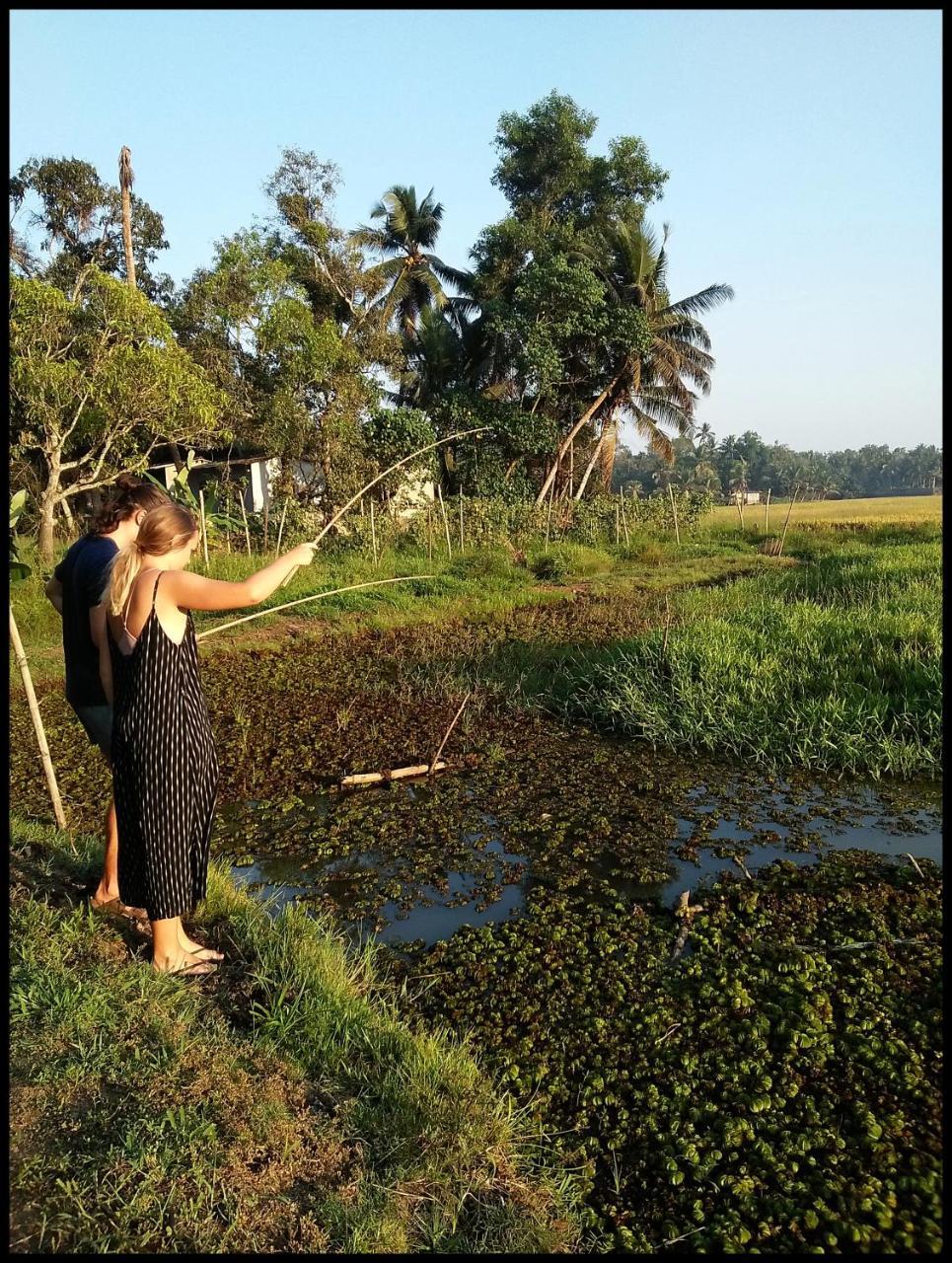 Thomman'S Farm Stay Kottayam Ngoại thất bức ảnh