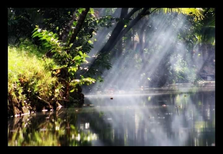 Thomman'S Farm Stay Kottayam Ngoại thất bức ảnh