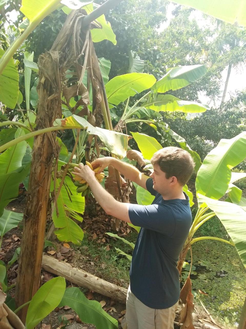 Thomman'S Farm Stay Kottayam Ngoại thất bức ảnh